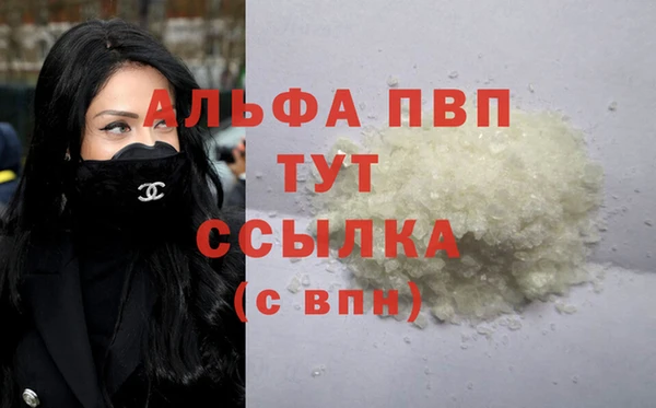 трава Надым