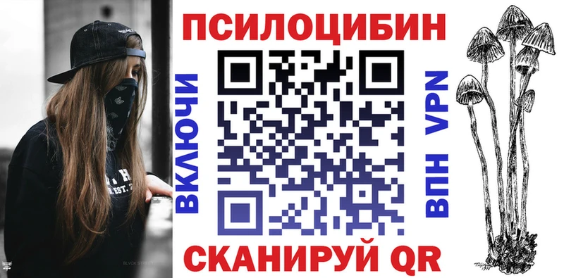 Псилоцибиновые грибы Psilocybe  дарнет шоп  гидра ссылка  Чишмы 
